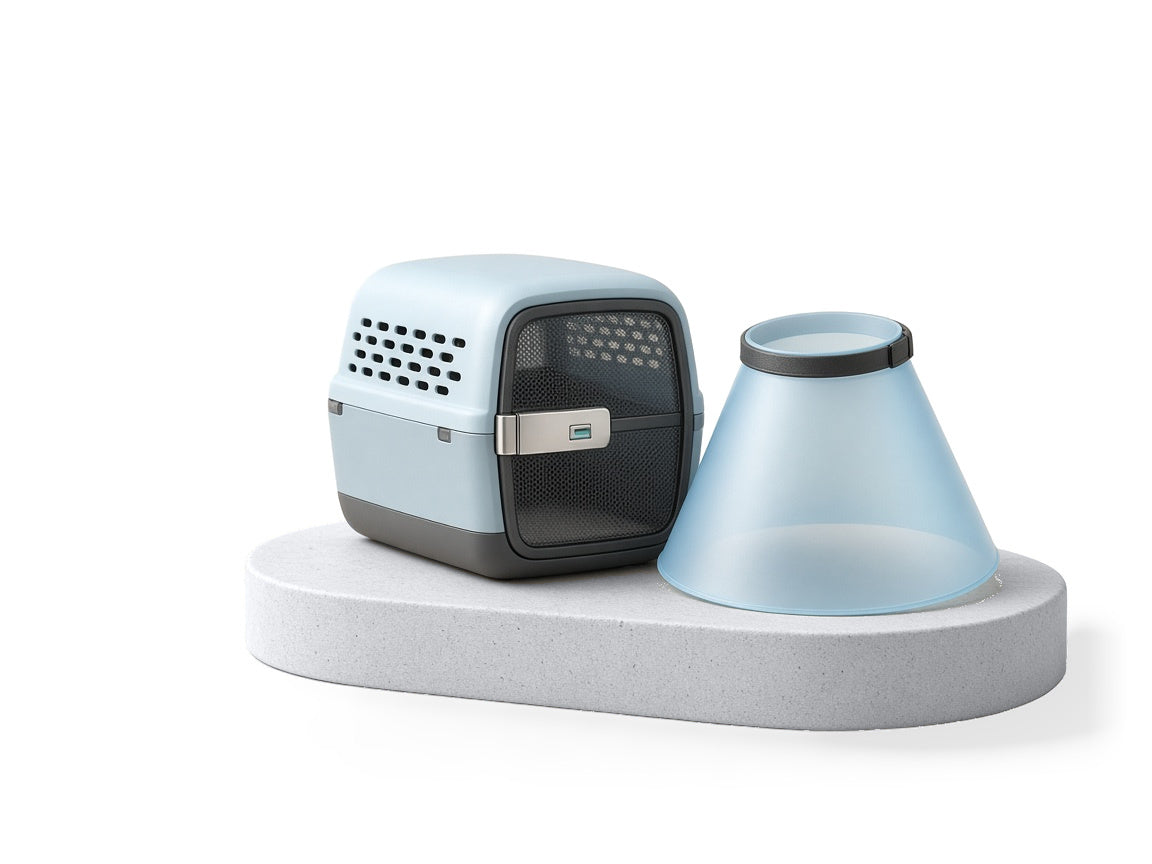 Ice-blue pet carrier beside a translucent recovery collar