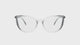 Cat Eye Clear optimised web 1080p