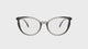 Cat Eye Grey optimised web 1080p